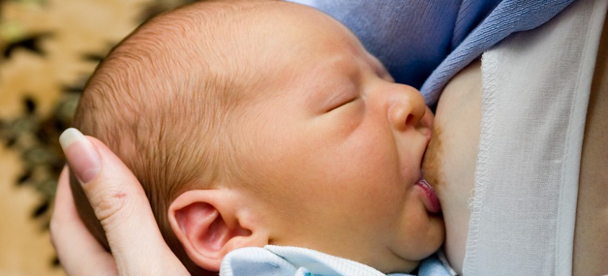 Leite Materno X Fórmula infantil X Leite de Vaca